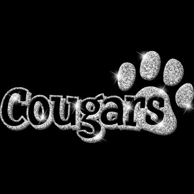 GLT17   SILVER GLITTER Thumbnail