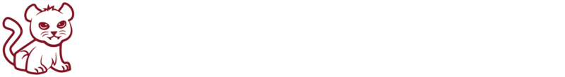 Corl Street Spiritwear
