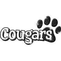 GLT17   BLACK GLITTER Thumbnail